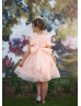 Pleated Organza Butterfly Wings Flower Girl Dress